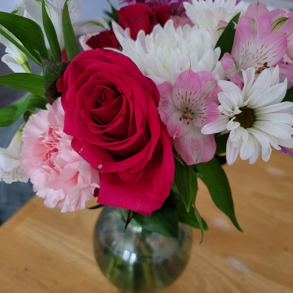 Meet your Posher, Elodie